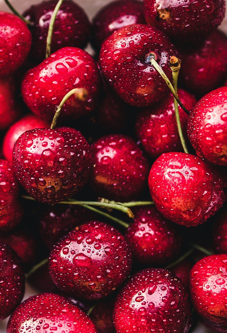 fruit, cherries, organic